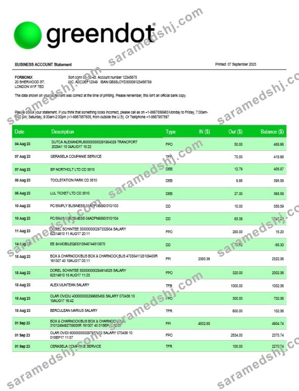 Green Dot Bank business checking account statement Word and PDF template